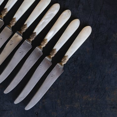 Mother of Pearl French Knife Set of 12