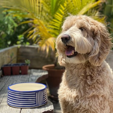 Dog Bowls - Made to Order