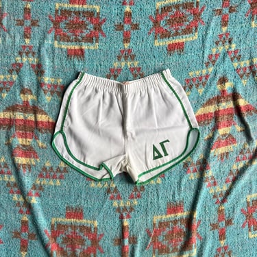 Vintage Alpha Gamma Fraternity Gym Shorts 