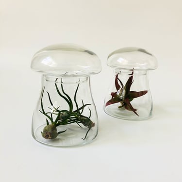 Vintage Glass Mushroom Jar 