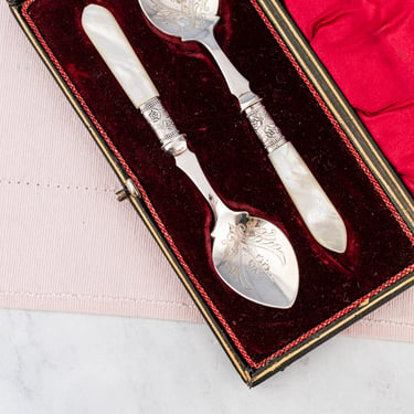 Victorian Silverplate &amp; Mother of Pearl Jam Spoon Set