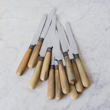 French Knives with Horn Handles set of 11