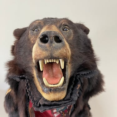 Mid Century Vintage Black Bear Rug with Head | Live Bear Rug | Up North Cabin Style | Rustic | Taxidermy | Bear Fur Rug 
