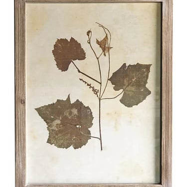 Pressed Wildflower Botanical Print, No. 4