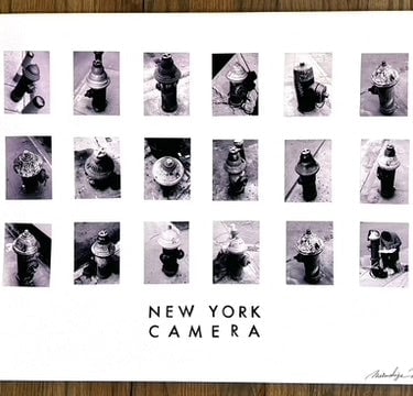 Mitsushige Nishiwaki | "Hydrants: New York Camera"