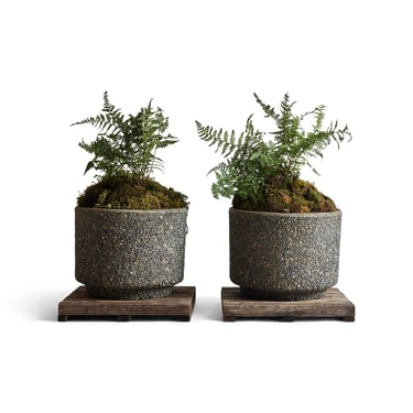 Stone Planters