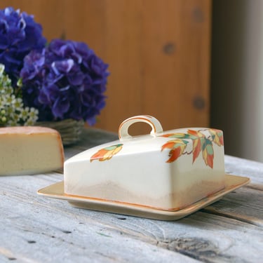 Vintage cheese saver dish / vintage Wedgewood England cheese keeper / antique floral china serving dish / vintage butter dish 