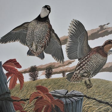Authentic Signed Richard Sloan Off Set Lithograph Bobwhite Colinus Virgianus 28