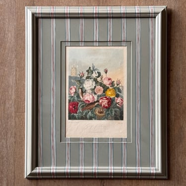 19th C. Diminutive Engraving of Dr. Robert Thornton Hand-Colored Floral Botanicals of Group of Roses in Gusto Painted Frame