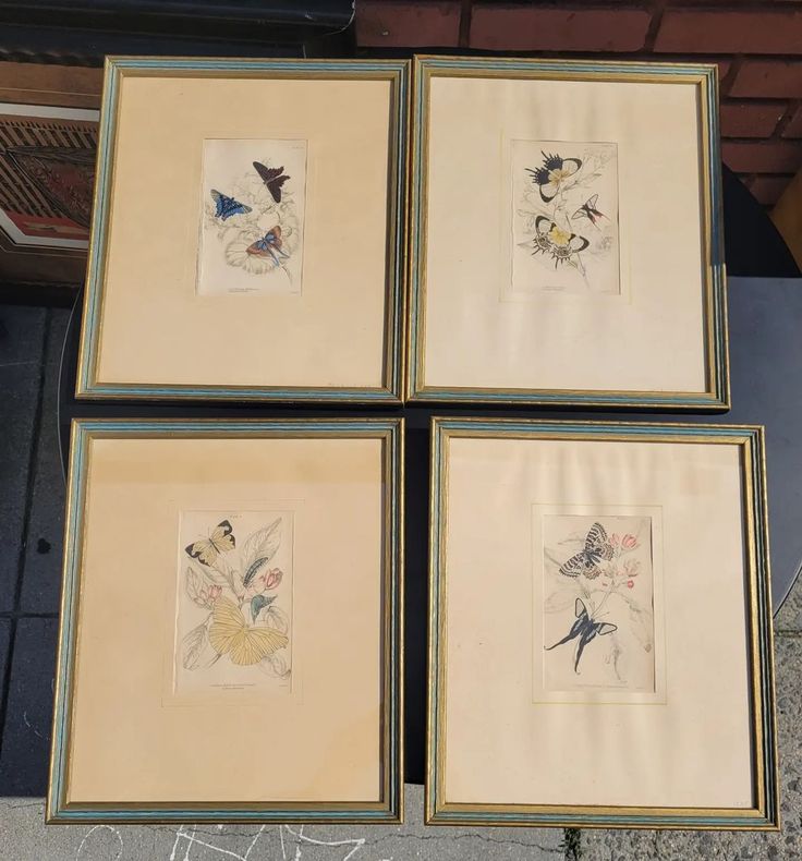 Vintage Butterfly Prints
