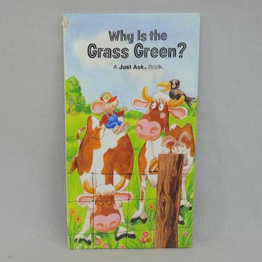 Why Is the Grass Green? A Just Ask Book (1985) - Vintage 1980s Kids Children's Science Book 