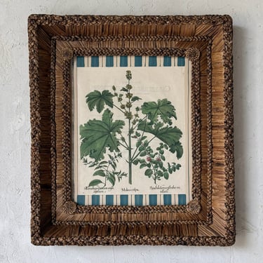17th C. Hand Colored Besler Engraving of Frittillaria in Gusto Woven Frame VII