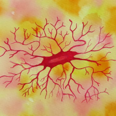 Microglia - original watercolor painting of brain cell - neuroscience art 