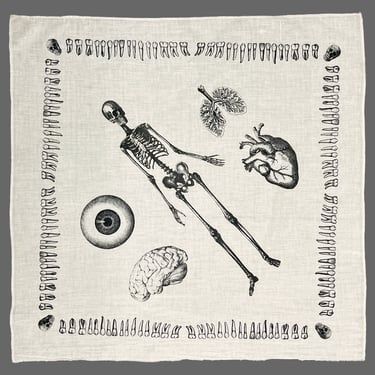 Anatomy Bandana