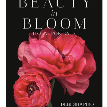 Beauty in Bloom: Floral Portraits by Debi Shapiro