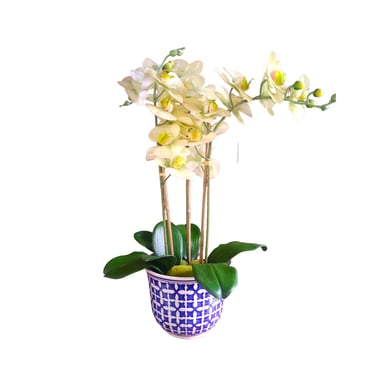 Oriental Vase OF Phalaenopsis Orchid, Asian Style, Chinioserie, Blue and White Home Decor 