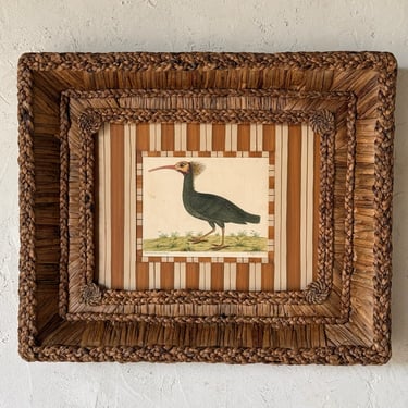 18th C. Eleazar Albin Handcolored Ornithological Engraving in Gusto Wo​ven Frame XIV