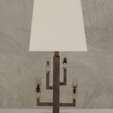 ENTOMOLOGY TABLE LAMP