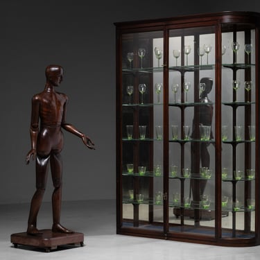 Life Size Model / Display Cabinet