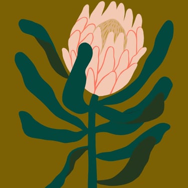 Protea // Art Print 