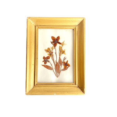 Antique Preserved and Framed Flower