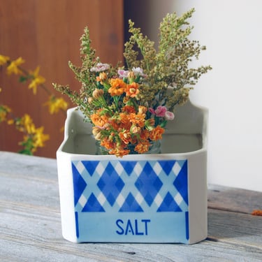 Vintage salt box / vintage Czechoslovakian porcelain salt box / large salt cellar / antique salt holder / flower planter / cottage decor 