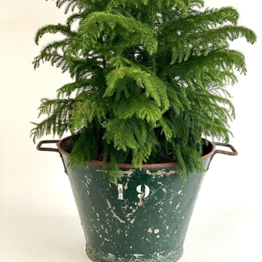 Christmas Green Vintage Bucket For Small Xmas Tree 