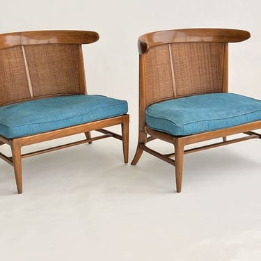 1950s John Lubberts & Lambert Mulder Tomlinson Sophisticate Cane Back Slipper Chair