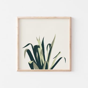 Agave Print, Succulent Wall Art, Botanical Art, Square Art Print, Cactus Art, Plant Home Decor 