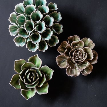 Fleur Ceramic Succulent Wall Art Set