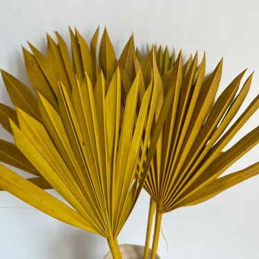 SLV Palm Leaf Decor (Curbside & In-Store Only)