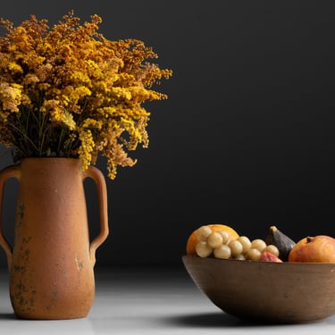 Clay Vase / Bowl of Stone Fruit