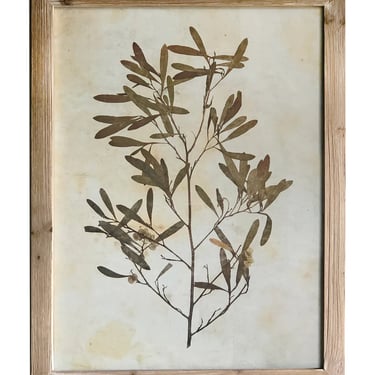 Pressed Wildflower Botanical Print, No. 3