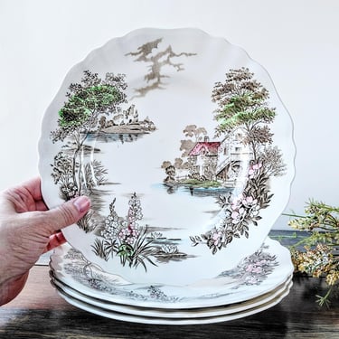 Vintage (6) Myott Meakin Staffordshire 