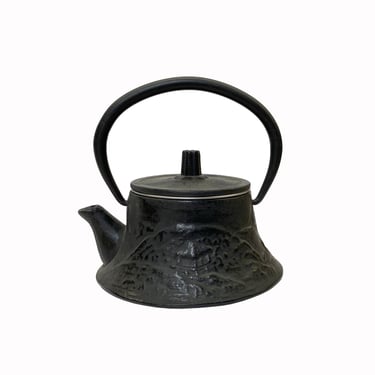 Handmade Quality Asian Cast Iron Teapot Shape Display Art ws2372E 