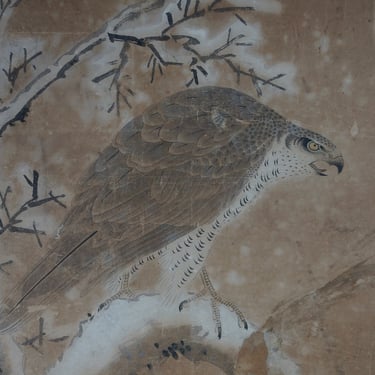 Antique Japan Taka eagle Edo era painting Kanou-Ha school Sumi-e ink 1700 
