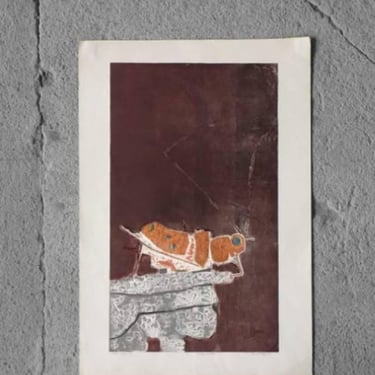 Ru Van Rossem, Insect On Rock, Color Lithograph, 1962 
