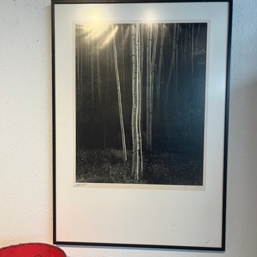 ‘ASPENS, NORTHERN NEW MEXICO - THE CAMERA’ BY ANSEL ADAMS (1958)