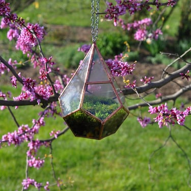 Teardrop Terrarium , glass terrarium with a hinged door -- stained glass -- copper or silver color -- eco friendly 