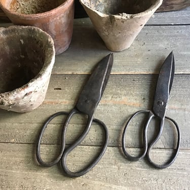 19th C Hand Forged Shears, French Garden Scissors, Blacksmith Made, Iron,  Primitive Farmhouse Tools, Gardening 