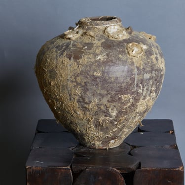 16th Century Shipwreck Jar
