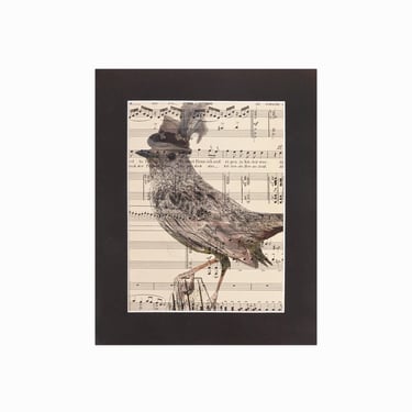 Robin Bird Print Top Hat Laughing Cat Studio Musical Sheet 