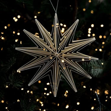 BWC White Paper Giant Hanging Star