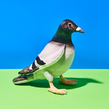 Plush Pigeon