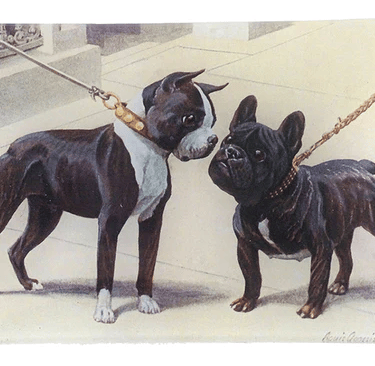 Boston Terrier French Bulldog 4.5&quot; X 6.5&quot; Mini Tray