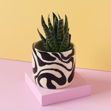 Swirl Pattern Ceramic Planter / Small Indoor Planter / Cactus Plant Pot / Succulent Plant Pot 