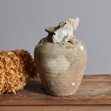 Sawankhalok Shipwreck Storage Jar with Oyster Encrustations