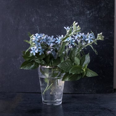 Engraved Vase with Silver Rim