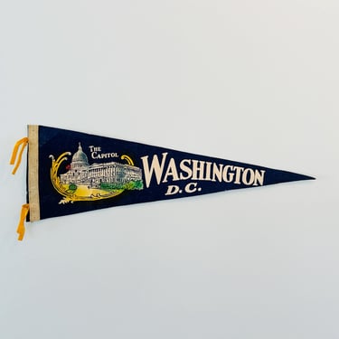 Vintage Washington DC Souvenir Pennant 